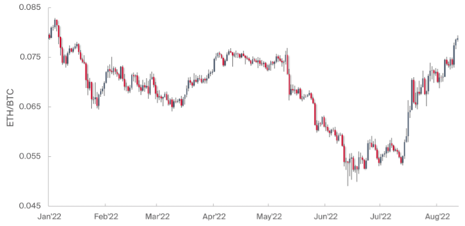 Wrap_12_08_Picture 2.png